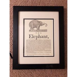 “The Elephant” Print